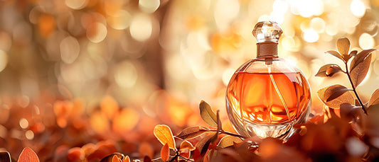 Perfect Perfume For Autumn In The Uk — Zamoori Guide