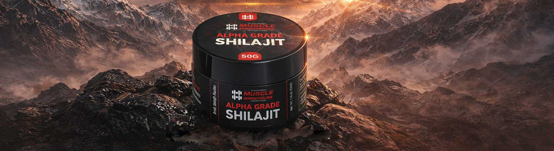 The History and Cultural Significance of Shilajit