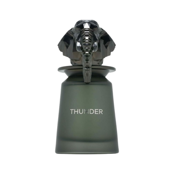 French Avenue Thunder - 100ml perfume